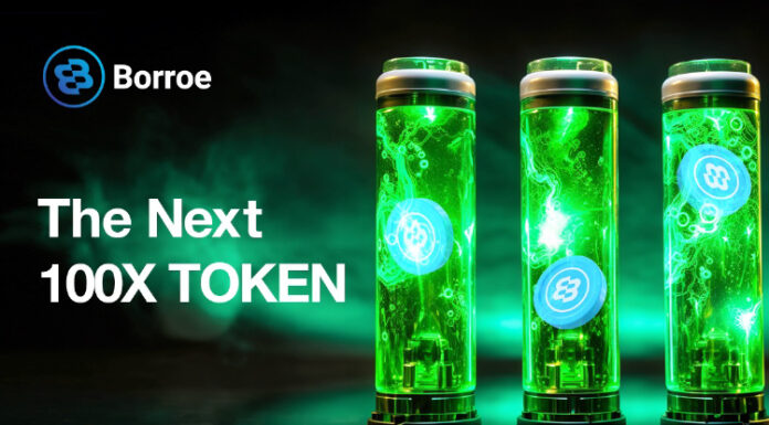 Después de la explosión del 2400% de Pepe Coin (PEPE) este año, ha surgido un nuevo contendiente Borroe ($ROE) para ser la altcoin del año.