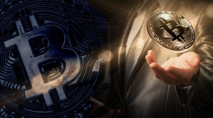 Las instituciones tienen más Bitcoin que nunca, dice Ark Invest