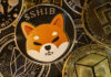 Shiba Inu recupera el puesto 14 en el mercado después de un salto del 5%