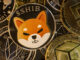 Shiba Inu recupera el puesto 14 en el mercado después de un salto del 5%