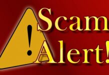 Desaparición de Bot Zilla y la avaricia de Trc20trade: Alerta Scam en el mundo digital
