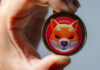 Shiba Inu (SHIB) y Cardano (ADA) se ven amenazados por el ascenso imparable de los DigiToads (TOADS)