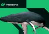 Tradecurve recauda $ 3 millones, las ballenas Pepe abandonan el proyecto
