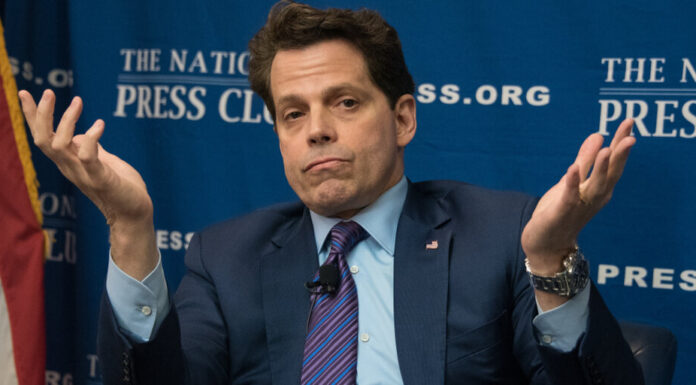 SkyBridge de Scaramucci ‘totalmente en desacuerdo’ con Grayscale en Bitcoin ETF