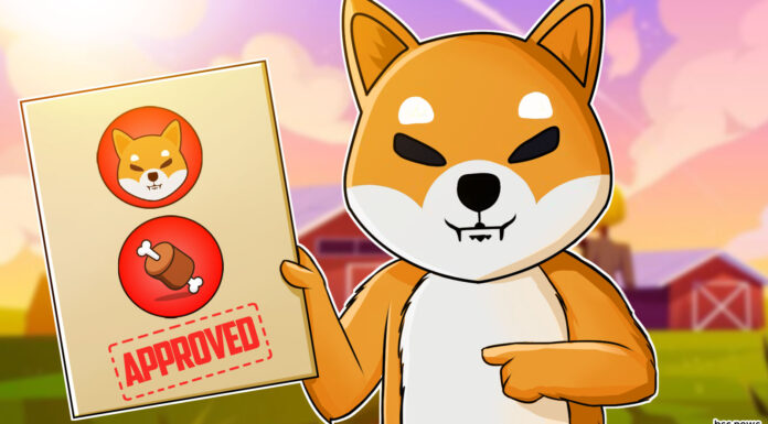 El lanzamiento de Shibarium resulta positivo mientras BONE, basado en Shiba Inu, celebra un nuevo hito