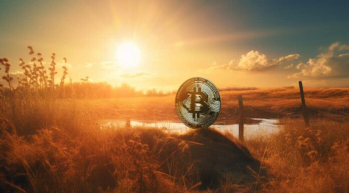 Bitcoin: por qué debe estar preparado para cambios bruscos de precios