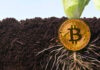 Informe de Bitcoin de KPMG marca «un hito que el ecosistema de Bitcoin debería celebrar»: analista