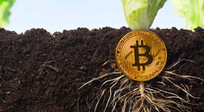 Informe de Bitcoin de KPMG marca «un hito que el ecosistema de Bitcoin debería celebrar»: analista