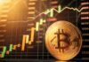 Analista de Bloomberg destaca fortaleza sin precedentes en dos métricas en cadena de Bitcoin en medio de la caída del mercado