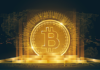 Rompecabezas del precio de Bitcoin: la caída del volumen de operaciones de 3.000 millones de dólares señala la salida de la ballena. ¿Podrían unirse a la preventa de DigiToads (TOADS)?