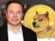 El abogado de Elon Musk presenta una segunda moción para desestimar la demanda colectiva de Dogecoin