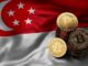 ¡Singapur presenta un nuevo marco regulatorio para monedas estables!