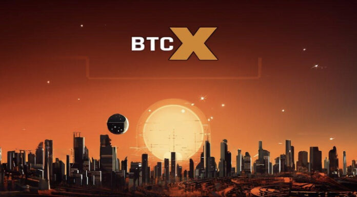 BTC vs BTCX: el token Elon y Space X no pueden derribarse ni siquiera con BTC Dump