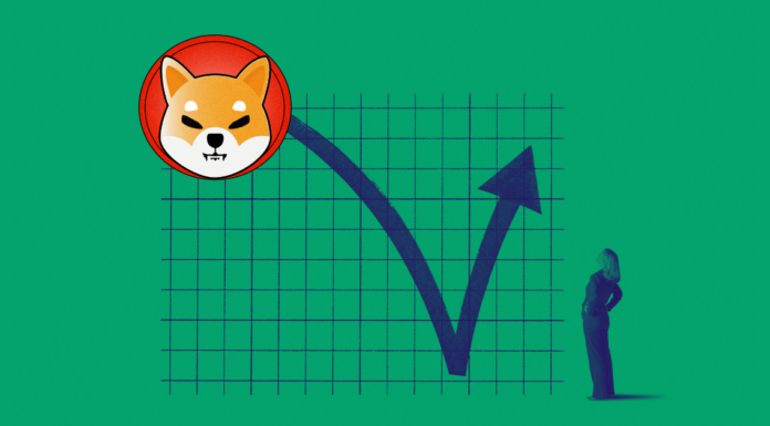 Shiba Inu sale de un patrón alcista, ¡pero los inversores parecen tener una estrategia comercial diversa!