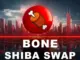 Predicción del precio de la moneda BONE ShibaSwap: guía definitiva para los nuevos desarrollos de Shiba Inu y la nueva preventa de ApeMax