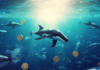 Las ballenas arrojan Ethereum: ¿debería preocuparse?