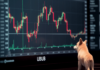 Shiba Inu: El impulso bajista revela esto sobre el estado de SHIB