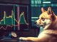 Dogecoin vs Bitcoin: diferencias y similitudes clave