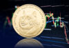 ¿Por qué el precio de Dogecoin ha bajado hoy?