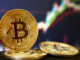 Crypto Funds Vs Bitcoin Holders: Quién tuvo mejor desempeño en el primer semestre de 2023