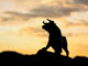 Crypto Thunderstruck: El cargo del 21 % de THORChain (RUNE) emerge como principal ganador semanal