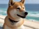 Shiba Inu apunta a máximos en el segundo trimestre: ¿es probable que haya más ganancias?