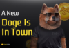 Los poseedores de Dogecoin y Shiba Inu buscan refugio en la nueva criptomoneda meme P2E Pomerdoge