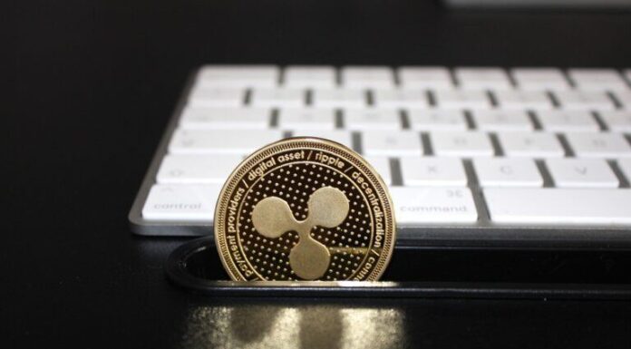 El intercambio descentralizado de XRP Ledger ve que el valor total bloqueado se dispara por encima de los 7,5 millones de dólares XRP