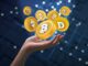 Por qué el director ejecutivo de este banco quiere que desaparezca el 99% de la industria de las criptomonedas