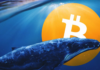 Informe revela Crypto Whale Center con la mayoría de transacciones que superan el millón de dólares