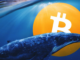 Informe revela Crypto Whale Center con la mayoría de transacciones que superan el millón de dólares