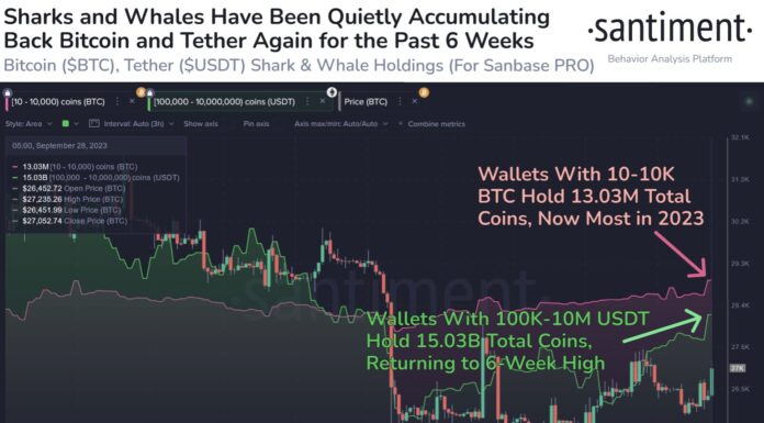 Esta combinación alcista finalmente se ha formado para Bitcoin, ¿seguirá adelante?