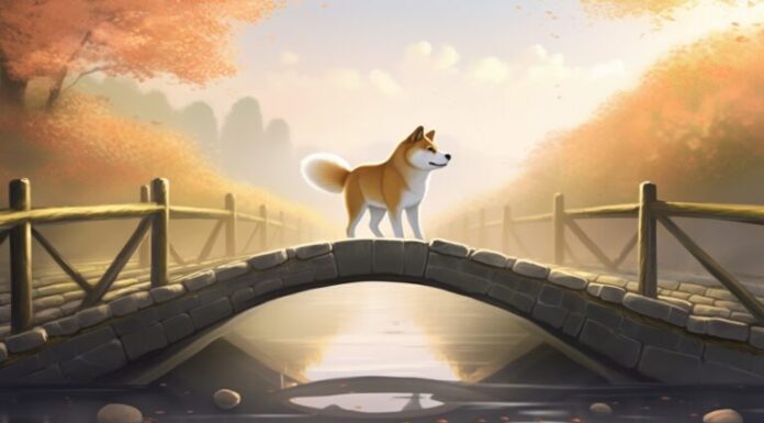 El desarrollador de Shiba Inu ($SHIB) presenta actualizaciones clave en Shibarium Network