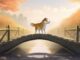 El desarrollador de Shiba Inu ($SHIB) presenta actualizaciones clave en Shibarium Network