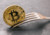Los inversores veteranos que predijeron el aumento de Fantom (FTM) dicen que esta bifurcación de Bitcoin podría hacer lo mismo