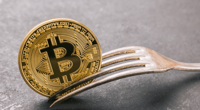 Los inversores veteranos que predijeron el aumento de Fantom (FTM) dicen que esta bifurcación de Bitcoin podría hacer lo mismo