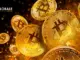 GlobaleCrypto: su puerta de entrada a la minería en la nube segura y rentable