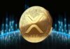 Las ballenas XRP están en movimiento nuevamente, mientras Altcoin registra importantes picos de utilidad