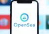 Los usuarios de OpenSea API advirtieron sobre una violación de seguridad de terceros