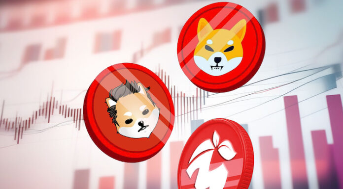 Shiba Inu (SHIB) y Dogelon Mars (ELON) resisten los vientos del cambio: ¡vienen nuevas y prometedoras criptomonedas!