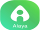 Alaya: el pionero de los datos de inteligencia artificial