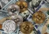 Cómo las criptomonedas están remodelando el juego en línea