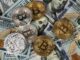 Cómo las criptomonedas están remodelando el juego en línea