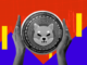 Señales del mercado de Shiba Inu: ¿Qué hay en el horizonte para el precio de SHIB?