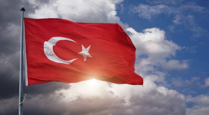 La mitad de la gente en Turquía ahora posee criptomonedas: informe