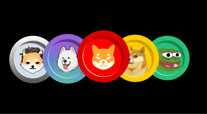 Crypto Analyst revela qué moneda Meme derribará a Dogecoin en el mercado alcista