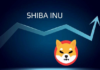 Shiba Inu registra una acumulación del 77% por parte de los principales inversores: ¿bueno para el precio de SHIB?