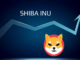 Shiba Inu registra una acumulación del 77% por parte de los principales inversores: ¿bueno para el precio de SHIB?