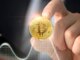Analista señala que esta será una semana alcista para Bitcoin