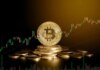 Analista proporciona predicción del precio de Bitcoin para septiembre